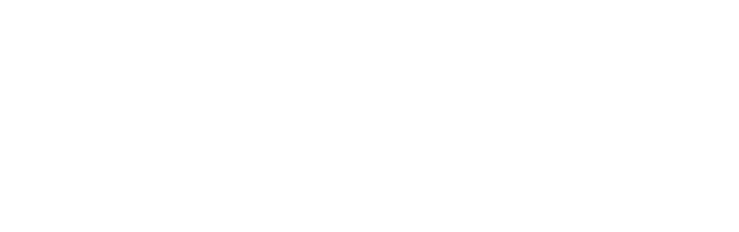 Proman Elektronik logo